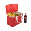 Non-woven cooler bags